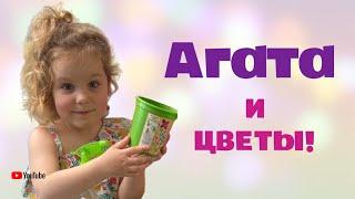 АГАТА САДОВОД // Сажаем подсолнух, землянику и черри