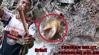 Mancing Belut || Tarikan Belut Penghuni Kolam