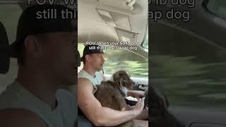 He now safely sits in the back seat of the car, but he was used to sitting on his dad’s lap. 
