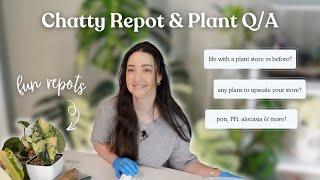 Repotting Some Pretty Plants & Answering More of Your Questions!