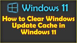 How to Clear Windows Update Cache in Windows 11