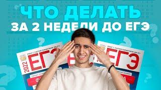 ЧТО ДЕЛАТЬ ЗА 2 НЕДЕЛИ ДО ОГЭ / ЕГЭ? I Физика 2024 I Эмиль Исмаилов - Global_EE