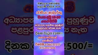 #job vacancy 2024 |New jobs| vacancies |Job sri lanka |job interview |නිෂ්පාදන රැකියා 2024,