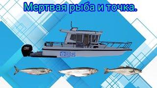 Норвежское море\Поймал акулу на мертвую рыбу\РР4\Русская рыбалка 4