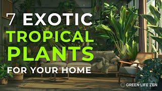  7 Exotic Tropical Plants for Your Exotic Home Indoor Jungle 