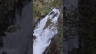 Somewhere near the Lac D'Estom in the Midi-Pyrénées mountains