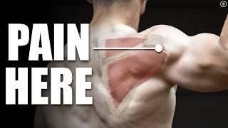 Rotator Cuff Tear Rehab & Exercises (Shoulder Pain, Tendinitis, Impingement)