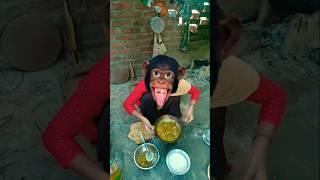 Bander pahan pajam#funny #cut #shortsviral