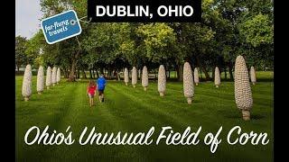 Cornhenge: Traveling to Ohio’s Quirky Field of Corn in Dublin, Ohio