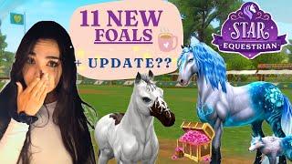 Breeding SECRET patterns + Chest Run + Update - Star Equestrian Vlog#2