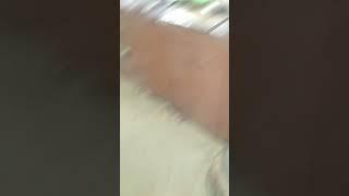 #shortsvideo  mahesh #yadav official 770