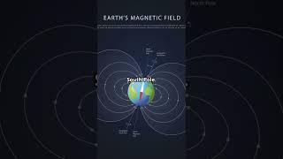 How does a compass work?