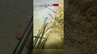 Mistaken Tail: The Dangerous Catch#shorts #short #youtubeshorts