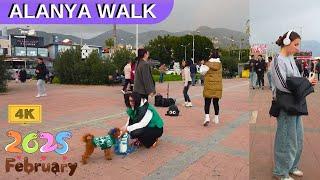 ALANYA STREET 2025 FEBRUARY ! WINTER IN ALANYA MARINA ALANYA ANTALYA TURKEY HOLIDAY TURKEY TRAVEL 4K