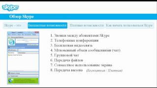 Обзор Skype ( Описание скайп )