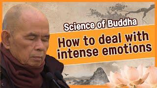 How to deal with intense emotions [Thich Nhat Hanh_Science of Buddha 6]