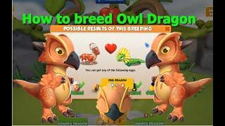 How to breed Owl Dragon-Dragon Mania Legends | DML