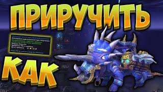 Как приручить босса Хоридона охотнику ? Новый крутой питомец в  [WoW BfA]