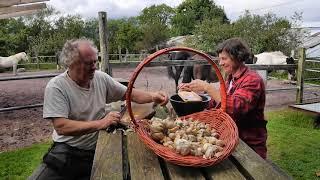 Drying Garlic Slices - Is It A Good Idea? Or How About Loose Cloves?