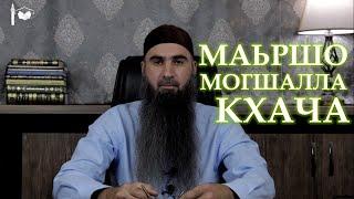 Маьршо, могшалла, кхача - адам ирсе дийраг