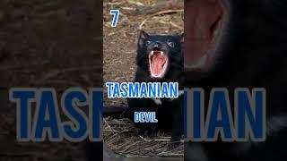 Toughest animals on earth#wikipedia