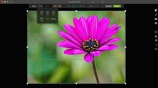 How to Crop Image Online | Crop Any Image Online | No Software Needed