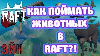 КАК ПОЙМАТЬ ЖИВОТНЫХ В RAFT?! ОТВЕТ ЗДЕСЬ!!!