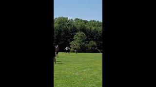 Bel Air Ultimate - Peak Plays - Flick huck assist