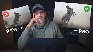 Powerful Cropping Techniques for Wildlife Photography