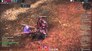 Tera Online: level 26 Warrior Gameplay