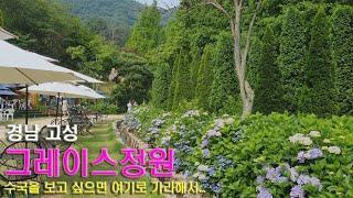 그레이스정원 수국동산에서 힐링하세요. 6월 가볼곳 추천 여행지 경남 고성입니다.