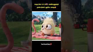 ️‍🩹Angry Bird & மண்புழு Friendship Story #shorts #facts