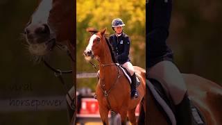 Look at that BRIDLE #youtube #horse #edit #equestrian #shortvideos #shorts #subscribe #viralvideos