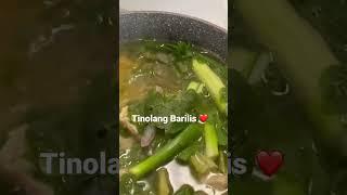 TINOLANG Barilis
