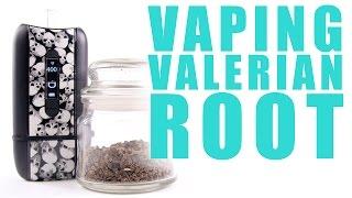 Vaping Valerian Root in Your Ascent Vaporizer - You Can Vape What?!