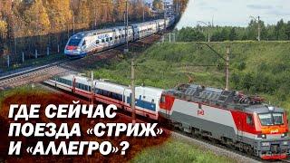 Почему РЖД не может запустить «Стрижи» и «Аллегро» между российскими городами?