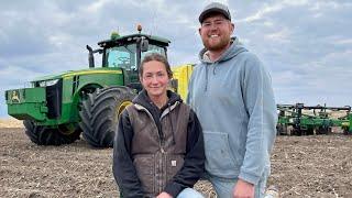Late Nights In The Corn Field