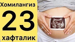 Хомила 23хафталик! Оёк томирлари тортишяпти