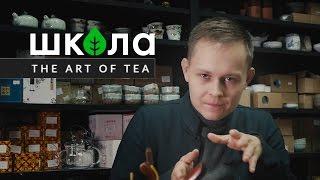 Чайная лекция. Введение в чай. История чая | Art of Tea, китайский чай