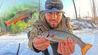 Sight Fishing BROOK TROUT Through the Ice!!(Underwater View)