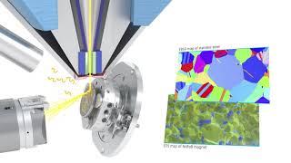 ZEISS GeminiSEM Family: Your FE-SEMs for Ultimate Imaging and Effortless Analytics