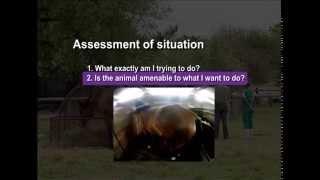 02 Assessment of situation