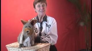 Puppet Basics: Glenda Bonin Shows How to Use a Puppet Without a Puppet Stage