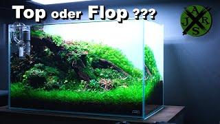 60p Aquascape | nach 300 Tagen Entwicklung | JR Aquascaping