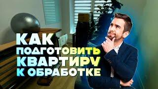 Как подготовить квартиру к обработке от насекомых?