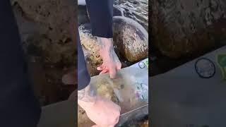 IDAHO GOLD PROSPECTING full videos on channel