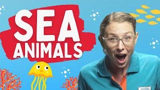 Sea Animals in Spanish for Kids | Spanish Lessons