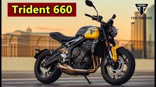 2025 Triumph Trident 660 |New Update |TM