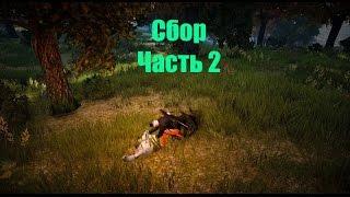 Зарабатываем на сборе в Black Desert часть 2