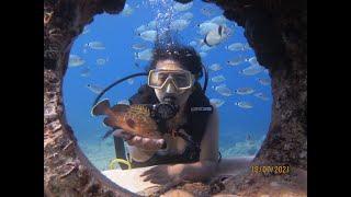 Private Diving Tour Antalya/side